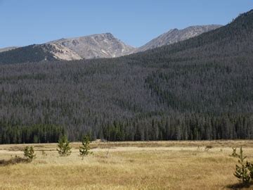 Big Meadows - Hike to Big Meadows in Rocky Mountain National Park