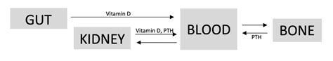 Interpretation of urea and electrolytes | OSCEstop | OSCE Learning