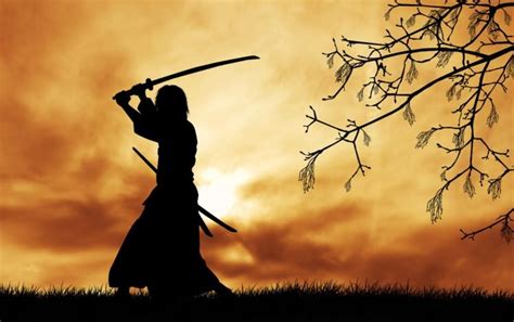 samurai, Japanese clothes, Katana, Silhouette, Trees, Branch, Grass ...