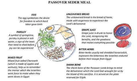 Passover Seder 2011 images