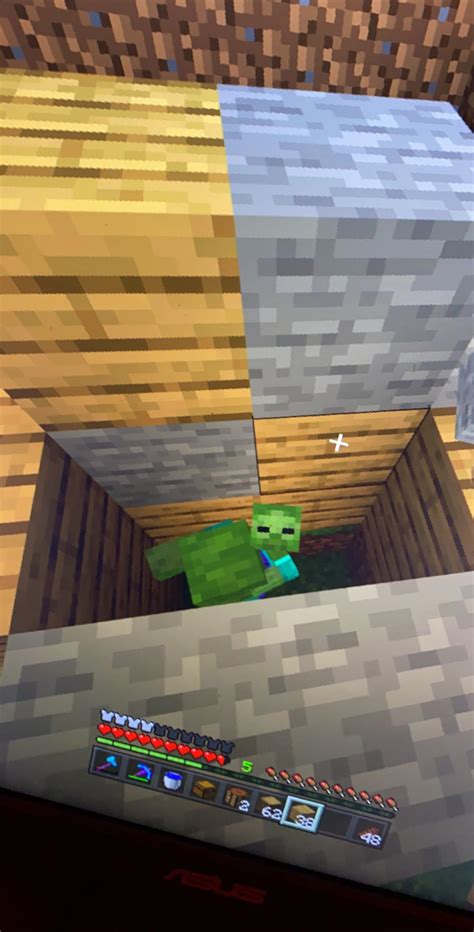 Baby zombie on zombies shoulders : r/Minecraft