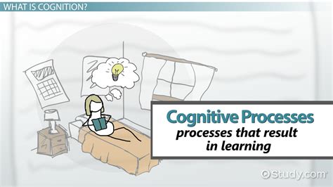 Cognitive Processes in Learning | Definition, Theories & Examples ...