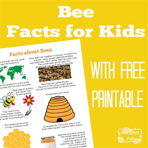 Fun Bee Facts for Kids - itsybitsyfun.com