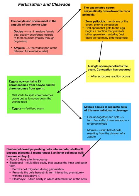 Flowchart Tutorial Complete Flowchart Guide With Examples | Sexiz Pix