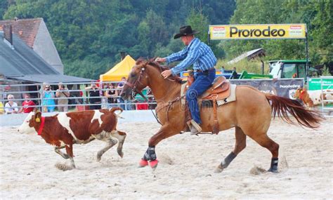 The Cowboy In A Calf Roping Competition. Editorial Image - Image of ...