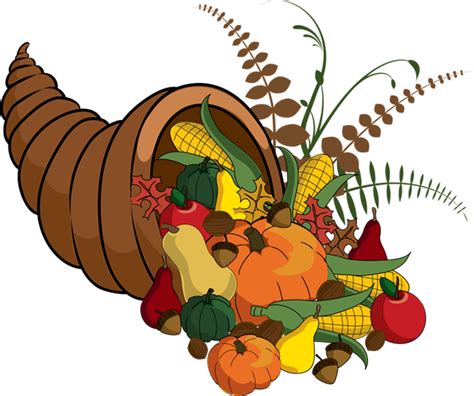 Cornucopia Thanksgiving Clip art - Cornucopia Cliparts png download ...