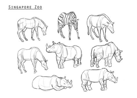 Easy Gesture Drawing Animals