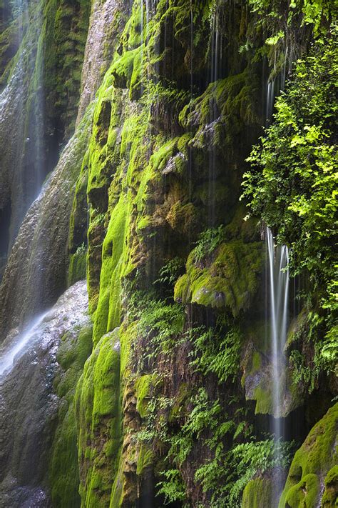 Gorman Falls Colorado Bend State Park Photograph by Mark Weaver