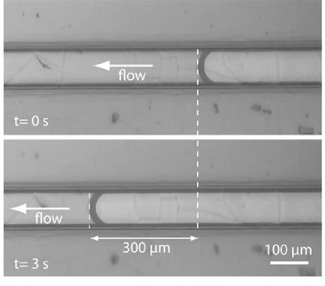 Fluidic experiment showing the displacement of the meniscus of a ...