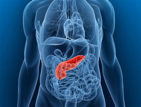 Pancreatic Cancer: Causes, Symptoms & Treatments | Live Science