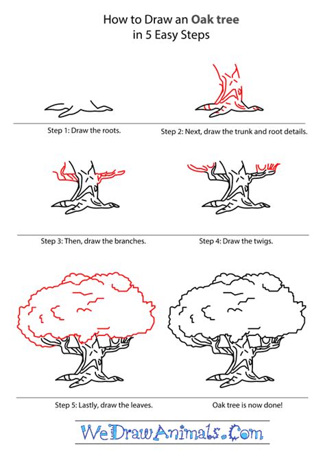 How to Draw an Oak Tree