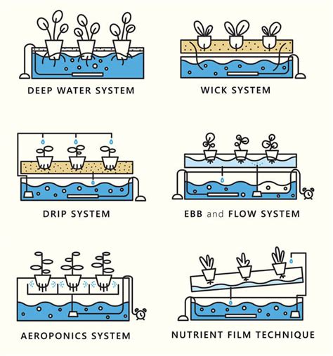 Types of Hydroponic System Design, Producton, & Sale | HC Hydroponics