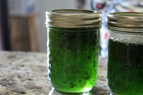 How Easy it is to Make Green Pepper Jelly from Scratch