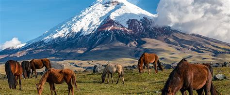 Nomadic Ecuador | Andes of Ecuador and Community