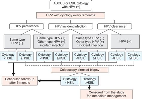 Pap Smear Screening Chart