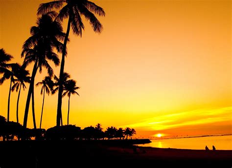 Waikiki Sunset Free Photo Download | FreeImages