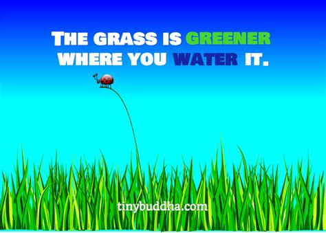 The Grass Is Greener