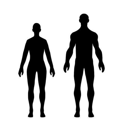 Full height human body shadow shape isolated on white background. Woman ...