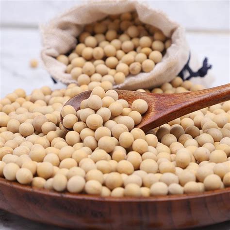 Organic Soybean,Soybean Meal,Non Gmo Black Soybean,Thailand price ...