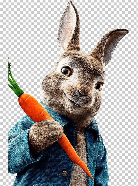 The Tale Of Peter Rabbit Mr. McGregor Meet Peter Rabbit Cinema Film PNG ...