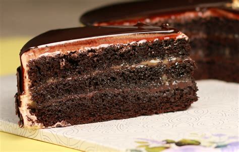 Chocolate Slice Cake – Lavender Online