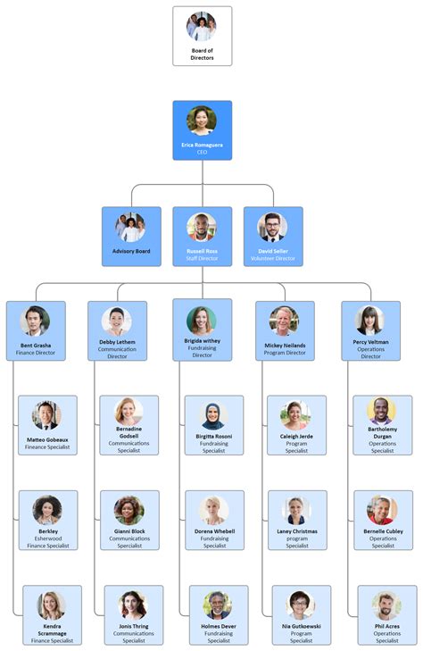 Hierarchy Organizational Chart Complete Guide | EdrawMax