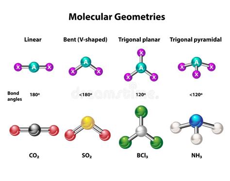 Estructura De Geometría Molecular De Elementos Ilustración del Vector ...