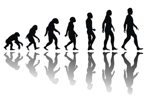 Fossil find complicates theory of human evolution | Baptist Press