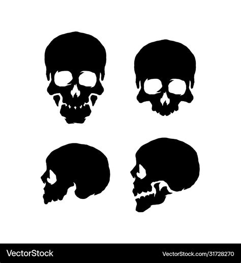 Skulls front and side view silhouette Royalty Free Vector