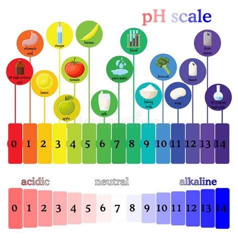 Ph Scale To Colour In