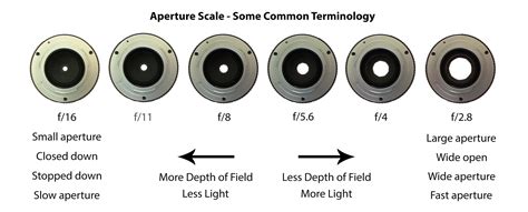 Understanding Depth of Field - A Beginner's Guide