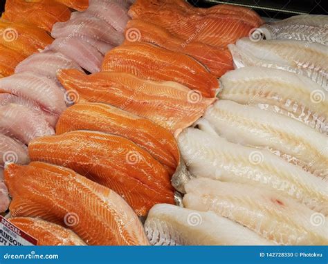 Fresh fish fillet stock photo. Image of case, salmon - 142728330