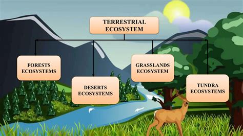 Types of Ecosystem | PPT