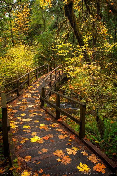 wolf creek stock image, wolf creek, oregon - Sean Bagshaw Outdoor ...