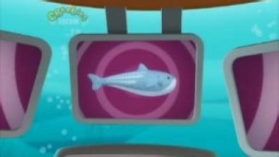 Creature Report - Whale Shark | Octonauts Wiki | Fandom