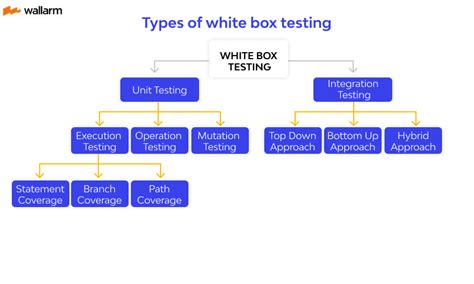 What is White Box Testing? Types, Techniques, Examples