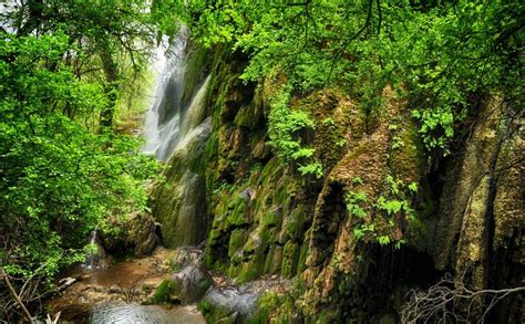 Navigating a Moderate-Level Hike Into Gorman Falls