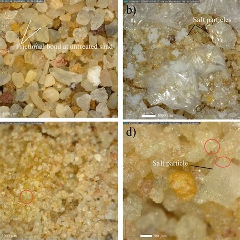 Casein solution synthesis stages: a casein biopolymer, b sodium ...