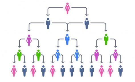 What Are The Advantages of a Hierarchical Organizational Structure?