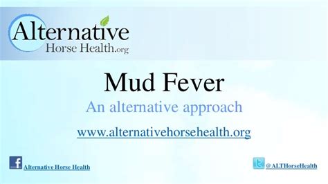 Mud Fever