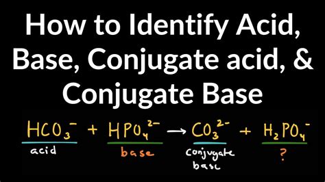 Conjugate Acids And Bases Practice