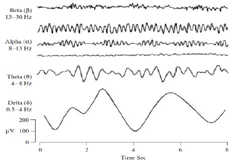 EEG frequency bands, where the y-axis indicates EEG frequency bands and ...