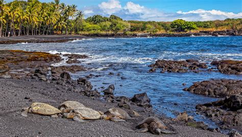 Visit Punaluu Black Sand Beach | Big Island Guide