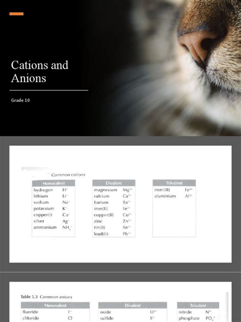 Cations and Anions | PDF