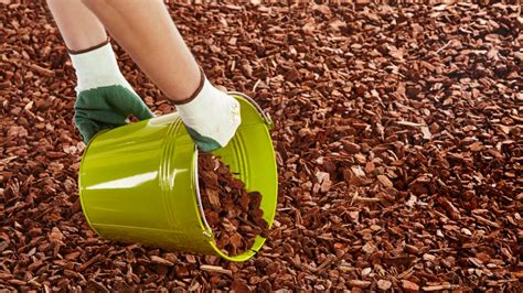 Mulching your garden - Do's and Don'ts | Paul's Mowing Melbourne