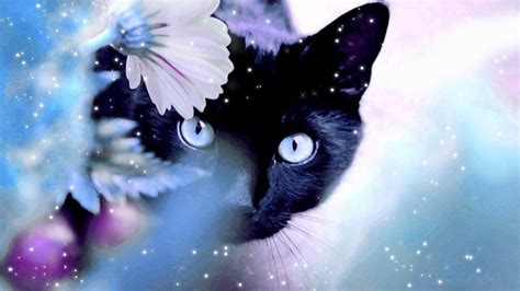 Magical Cats Wallpapers - Wallpaper Cave