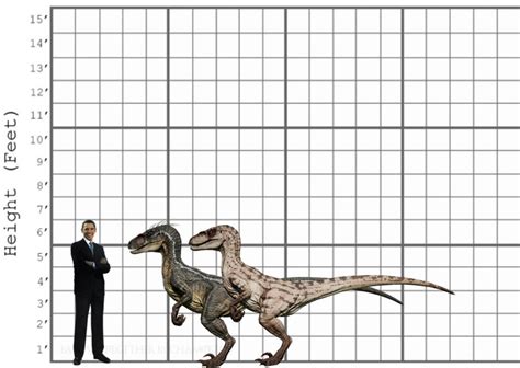 My Velociraptor size comparison by EthanThomas2022 on DeviantArt