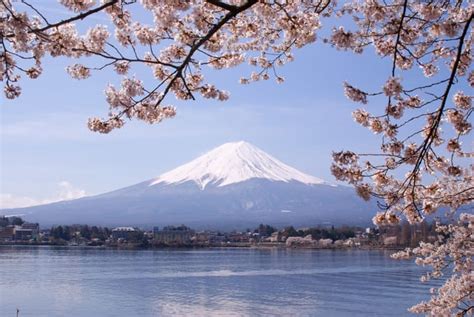 How To Hanami 101: Tips & Tricks To Ace Cherry Blossom Season - Klook ...