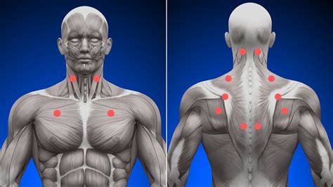 How To Get Rid Of A Muscle Knot - Newsbrick32