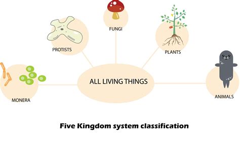 Five Kingdom Classification Monera